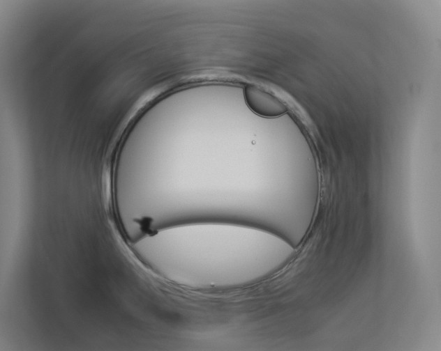 X0000113891295200909241134