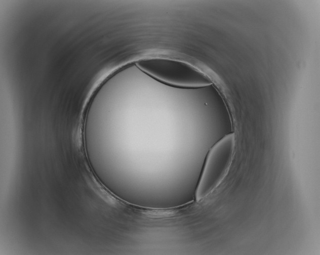 X0000113891296200909241134