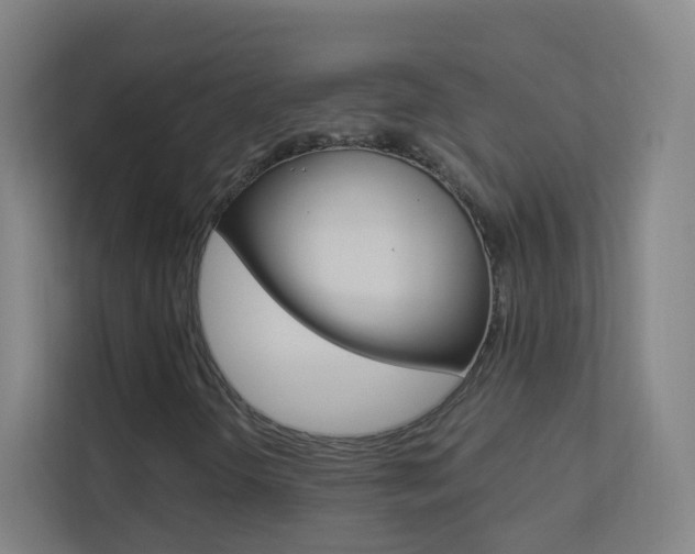 X0000113891298200909241134