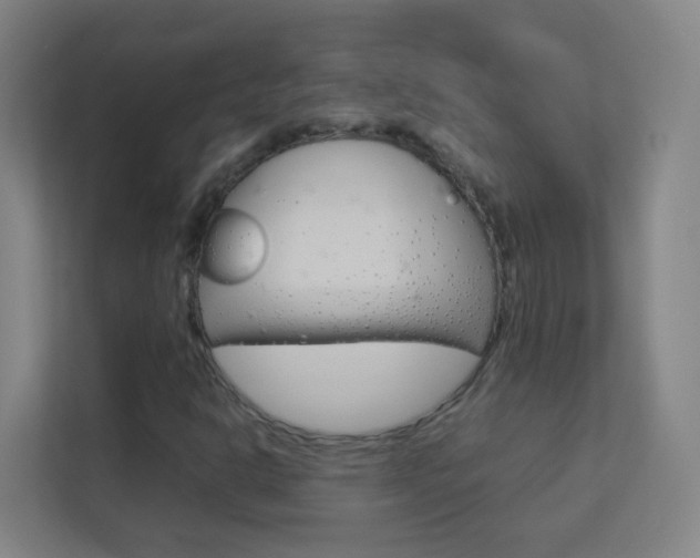 X0000113891302200909241134