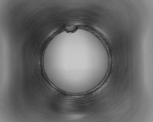 X0000113891305200909241134