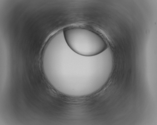 X0000113891308200909241134
