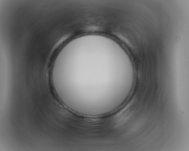 X0000113891309200909241134