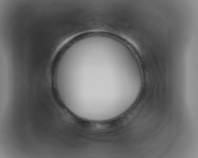 X0000113891311200909241134