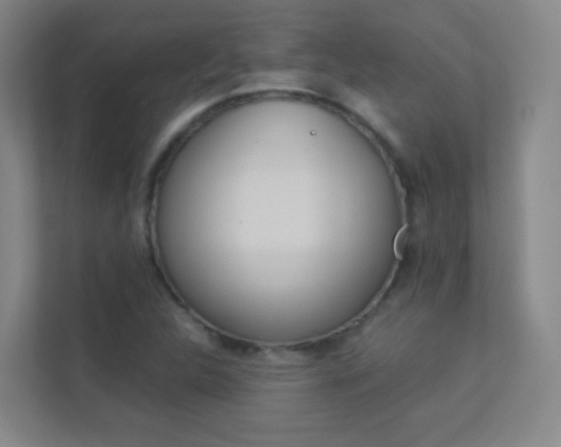 X0000113891312200909241134