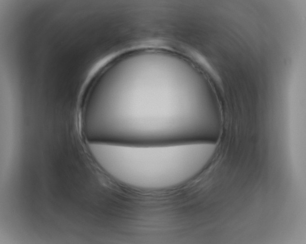 X0000113891320200909241134