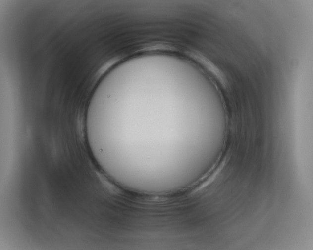X0000113891321200909241134