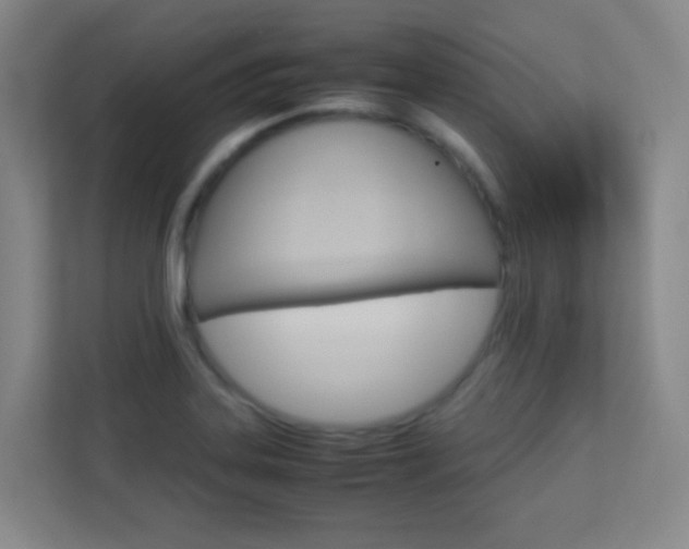 X0000113891323200909241134