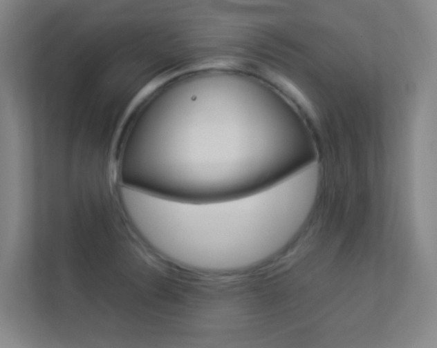 X0000113891324200909241134