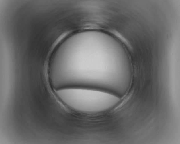 X0000113891325200909241134