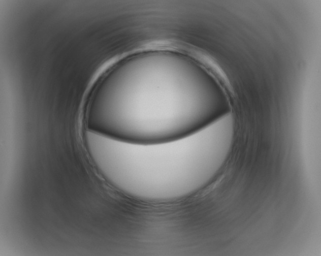 X0000113891328200909241134