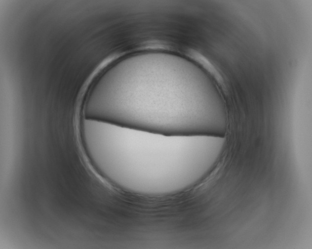X0000113891331200909241134