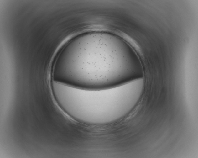 X0000113891334200909241134