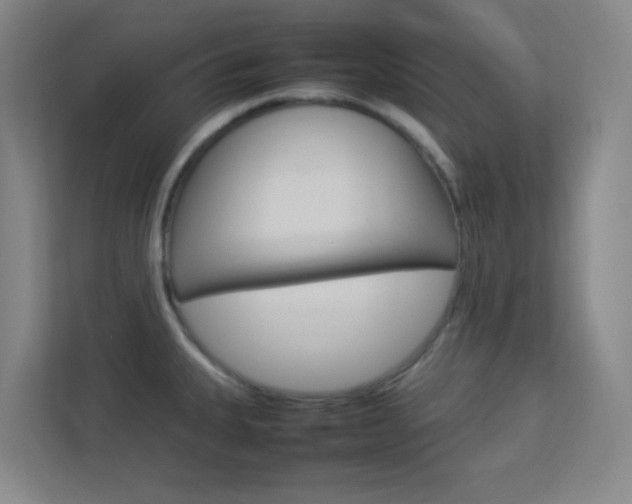 X0000113891335200909241134