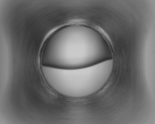 X0000113891336200909241134