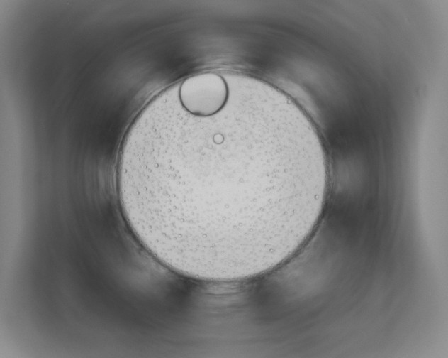 X0000113891338200909241134