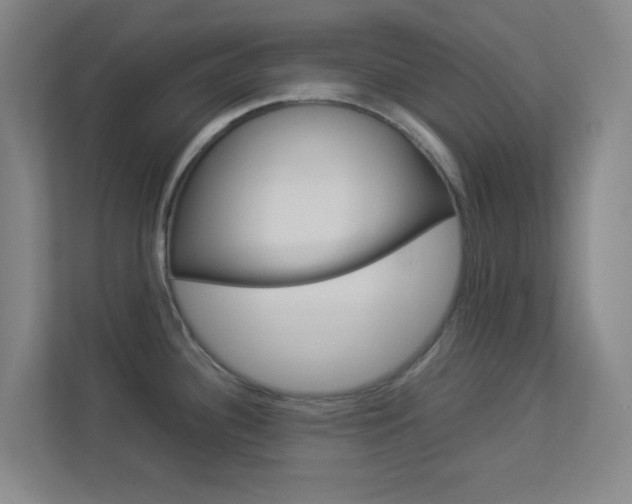 X0000113891340200909241134