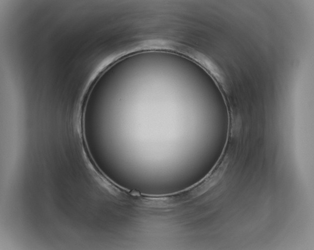 X0000113891342200909241134
