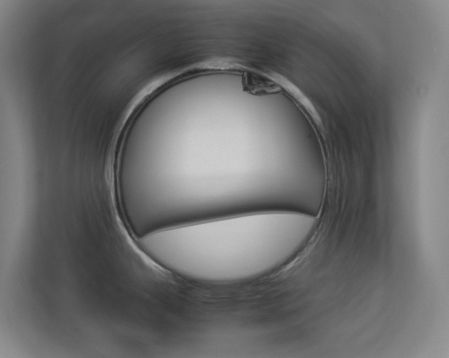 X0000113891343200909241134