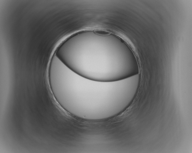 X0000113891344200909241134