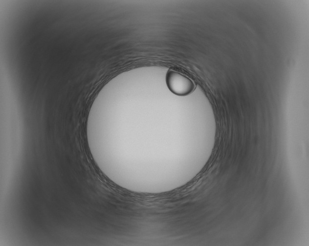 X0000113891345200909241134