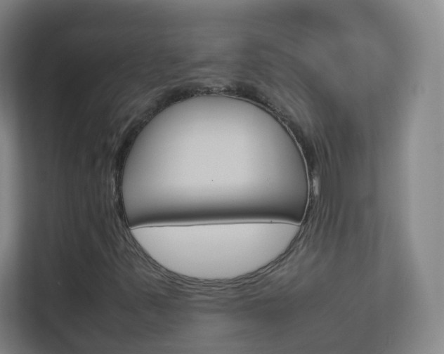 X0000113891347200909241134