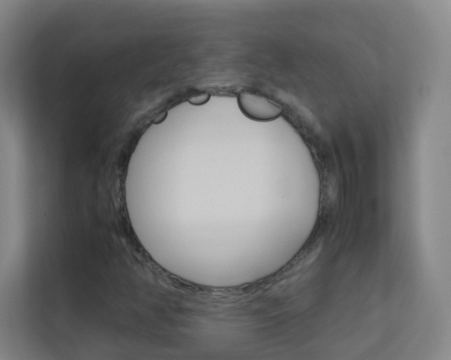 X0000113891350200909241134