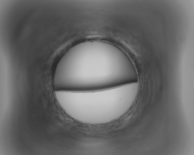 X0000113891351200909241134