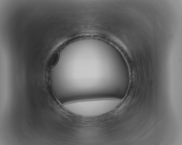 X0000113891352200909241134