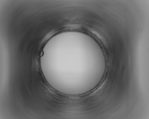 X0000113891354200909241133