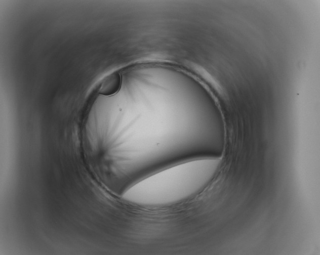 X0000113891356200909241133