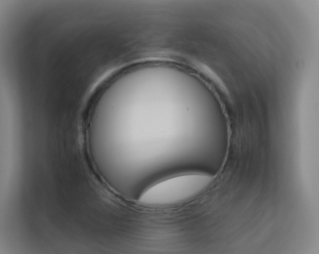 X0000113891360200909241133
