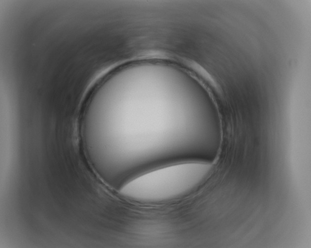 X0000113891364200909241133