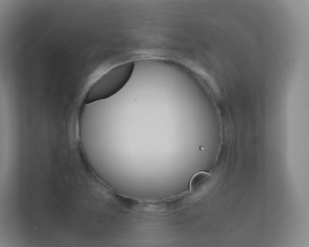 X0000113891365200909241133