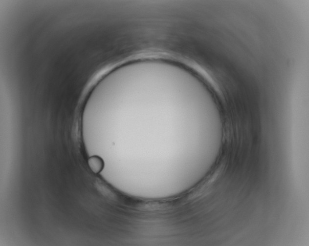 X0000113891366200909241133