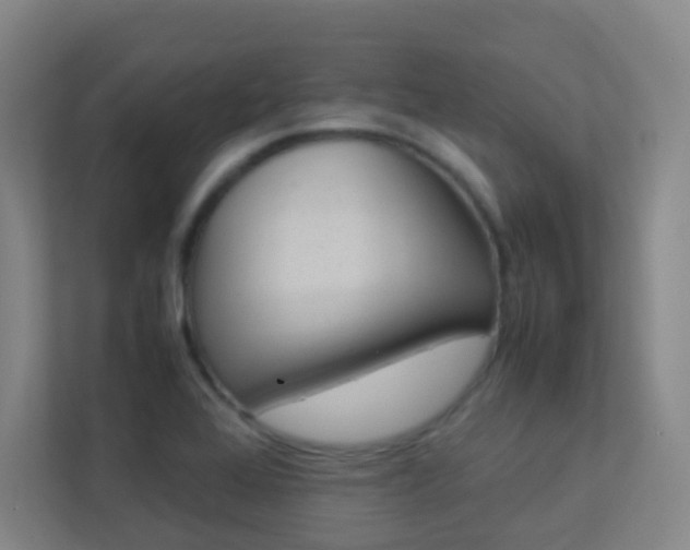 X0000113891368200909241133