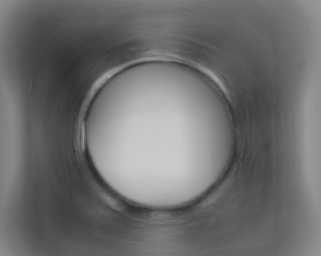 X0000113891371200909241133