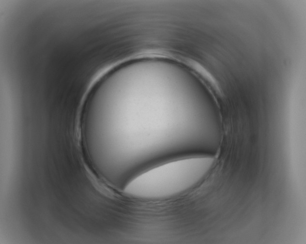 X0000113891372200909241133