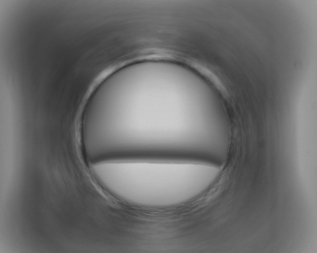 X0000113891375200909241133