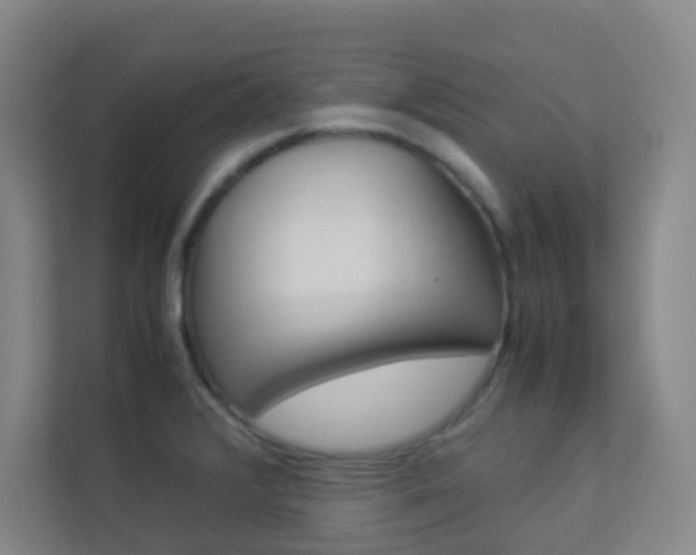 X0000113891376200909241133
