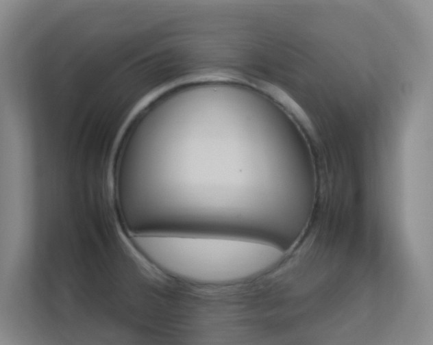 X0000113891380200909241133