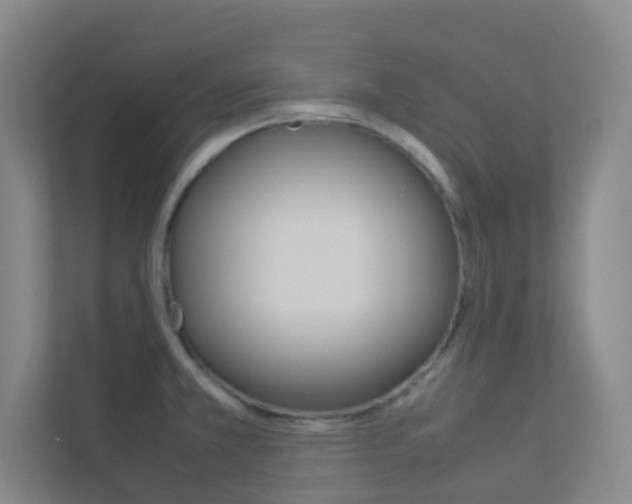 X0000113891381200909241133