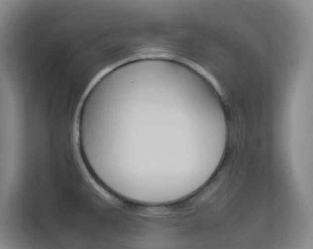 X0000113891383200909241133