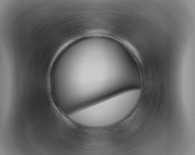 X0000113891384200909241133