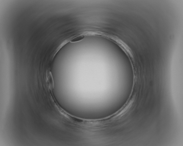 X0000113891385200909241133