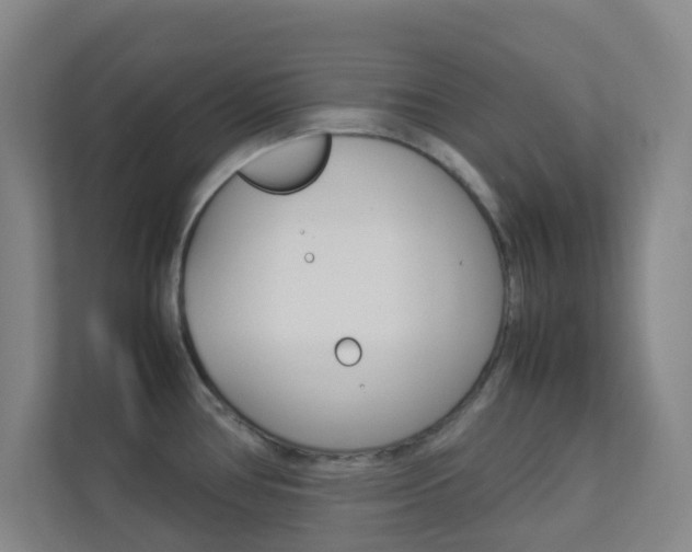 X0000113891386200909241133