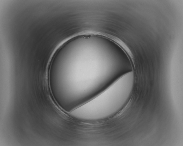 X0000113891388200909241133