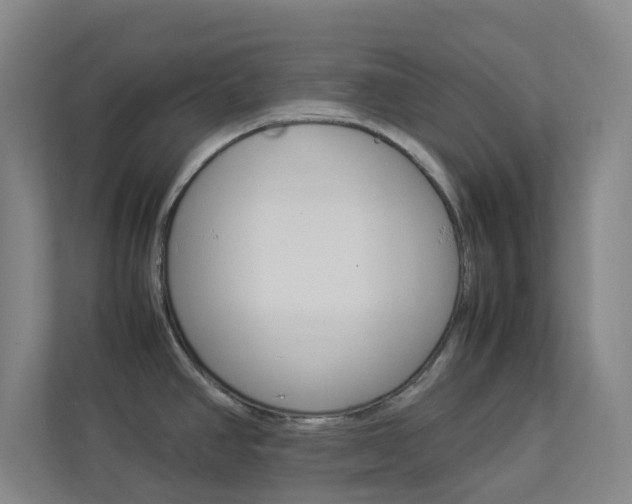 X0000113891390200909241133