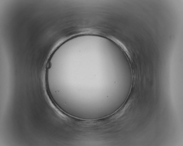 X0000113891391200909241133