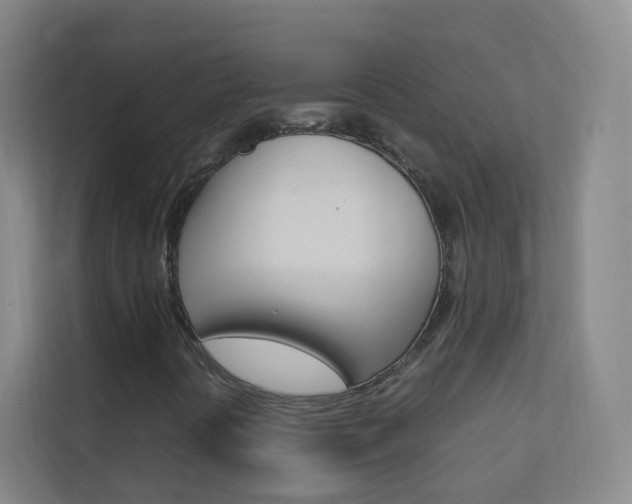 X0000113891394200909241132